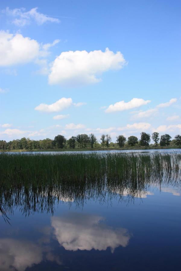 Vakantiehuis Appelvink, Toplocatie In Bosrijke Omgeving โอสเตอร์ไวก์ ภายนอก รูปภาพ