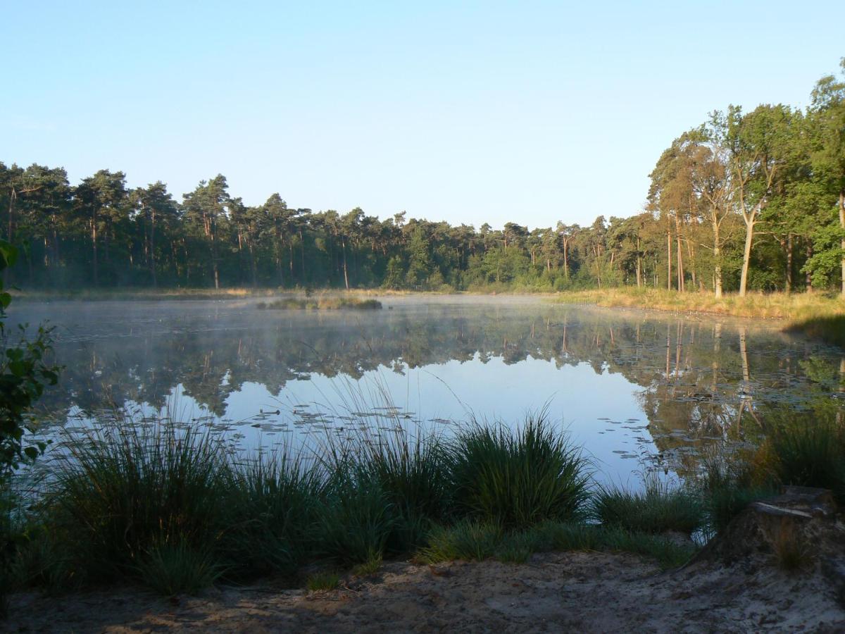 Vakantiehuis Appelvink, Toplocatie In Bosrijke Omgeving โอสเตอร์ไวก์ ภายนอก รูปภาพ